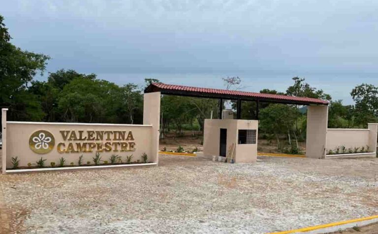 Imagen de WhatsApp 2025-01-03 a las 12.01.19_c5abcd47