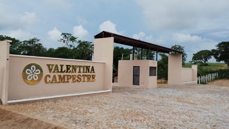 Imagen de WhatsApp 2025-01-03 a las 12.01.44_d1545612